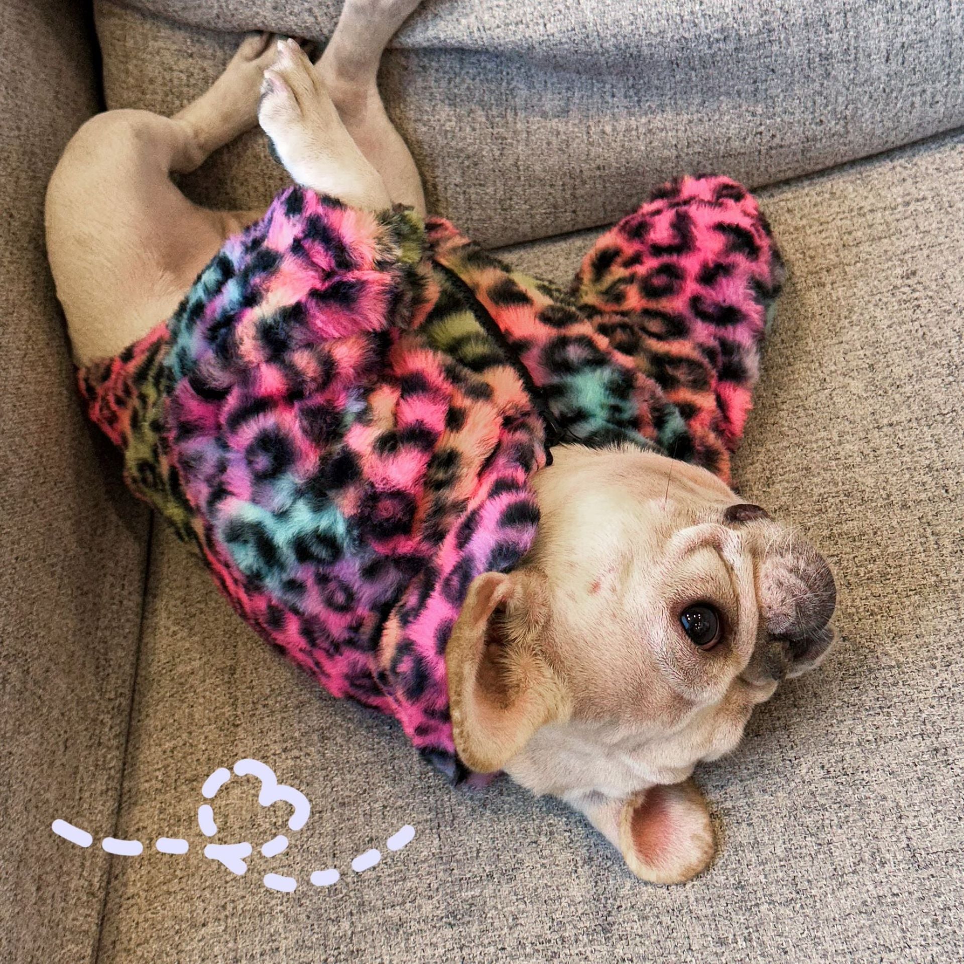 New Style Pet Clothes Colorful Leopard Print Velvet Coat