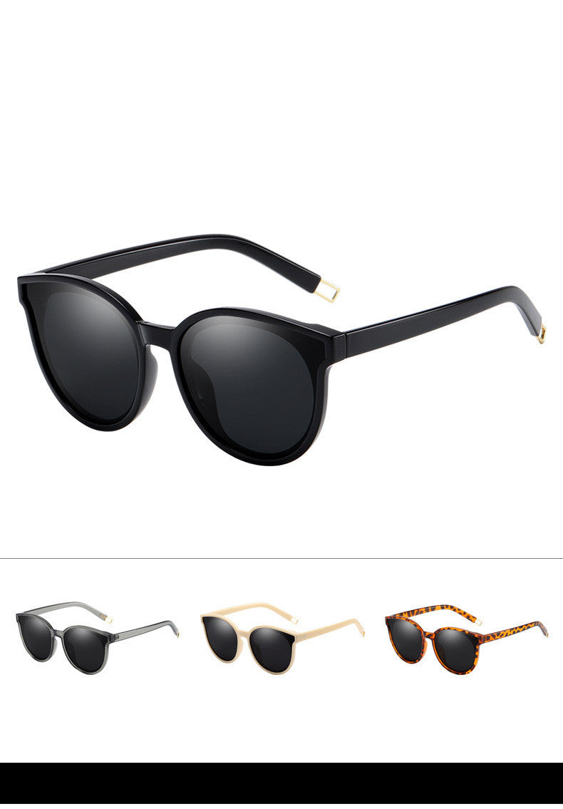 LargeFrame Polarized Sonnenbrille