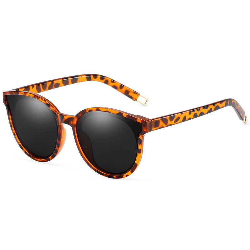 LargeFrame Polarized Sonnenbrille