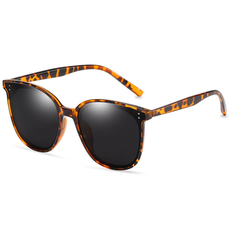 LargeFrame Polarized Sonnenbrille