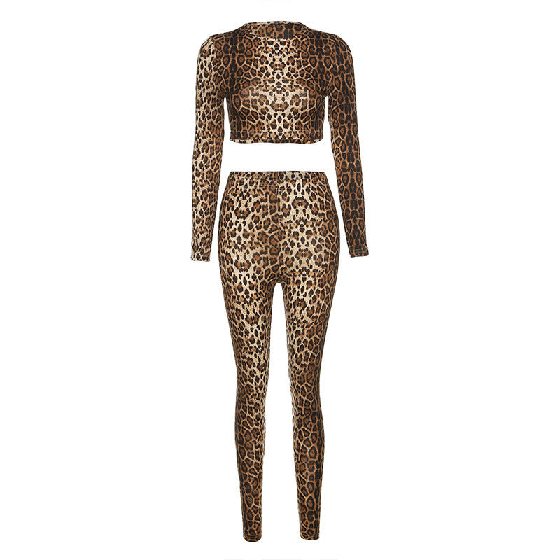 Leopard Print Sports Suit for women