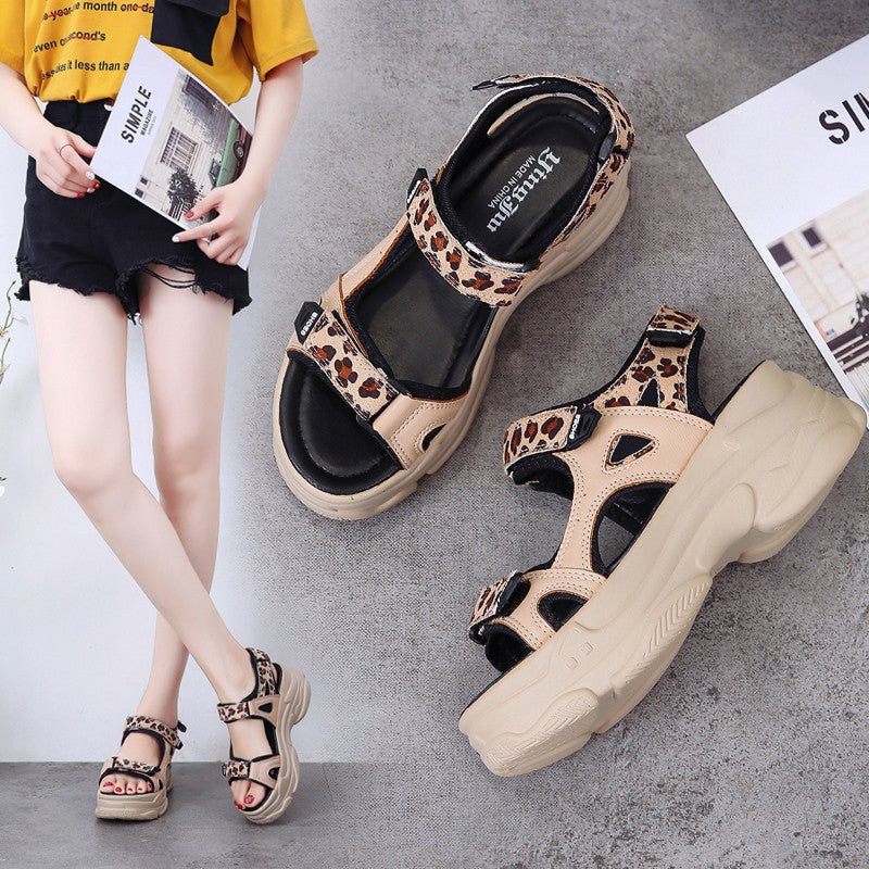 Leopard Print Fairy Style Sport Sandalen Frauen All-match Plattform Netz Rot Frauenschuhe