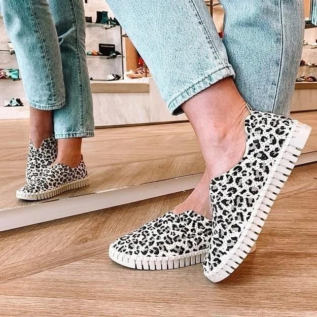 Leopardenmuster Einzelne Schuhe Schlangendruck Wohnungen