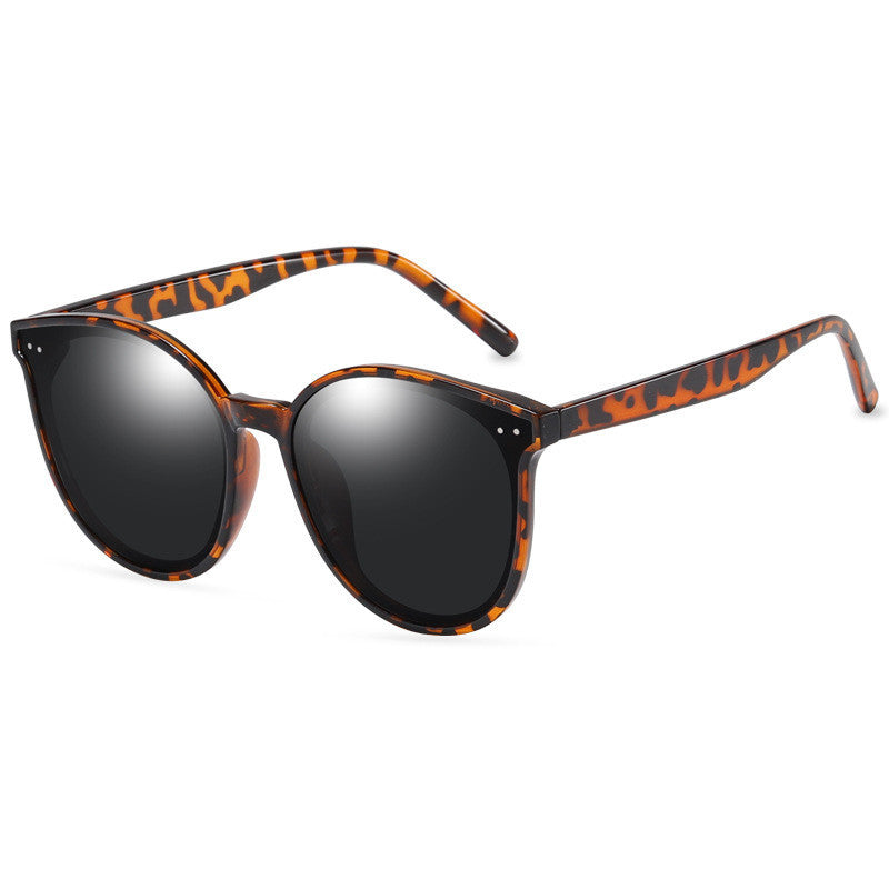 LargeFrame Polarized Sonnenbrille