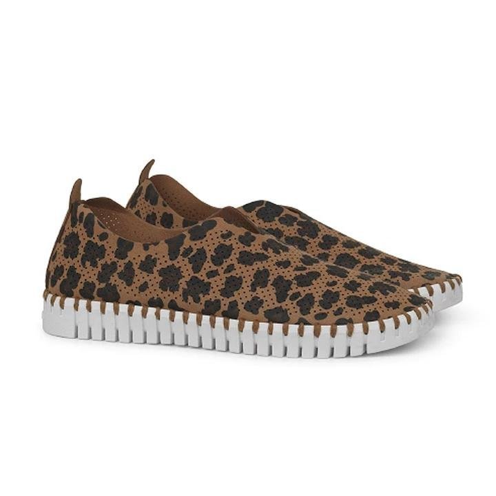 Leopardenmuster Einzelne Schuhe Schlangendruck Wohnungen