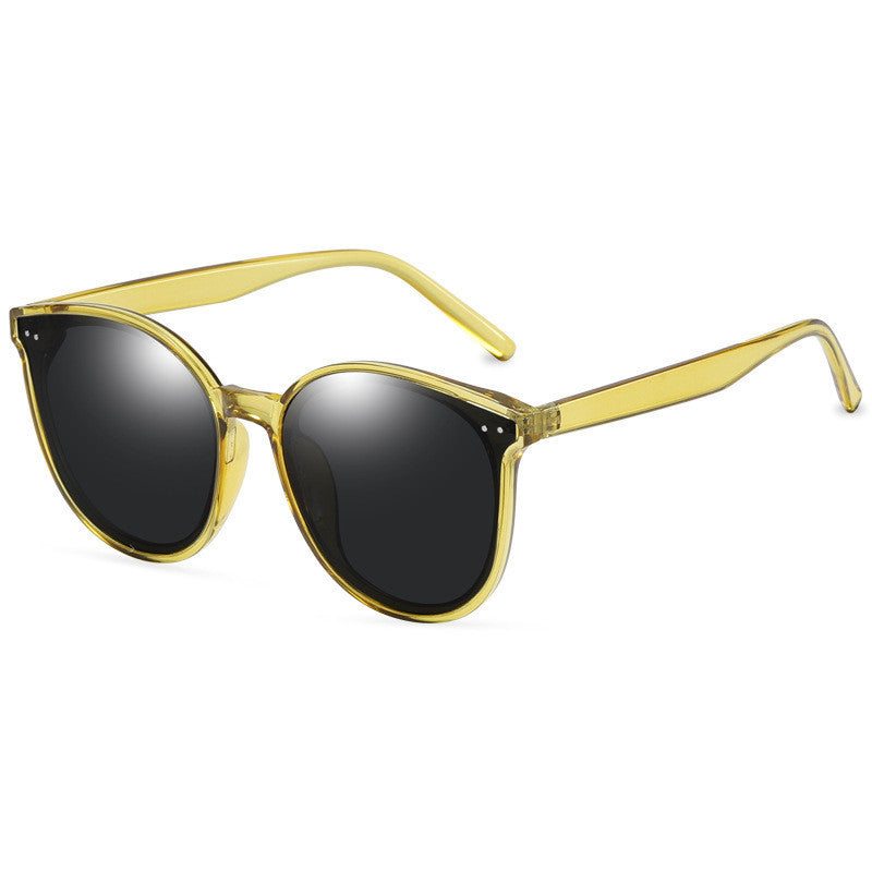 LargeFrame Polarized Sonnenbrille