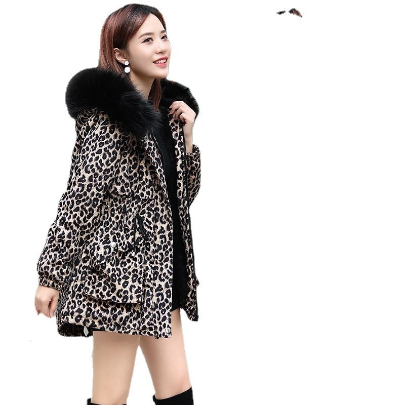 Women's Golden Velvet Leopard Cotton Coat