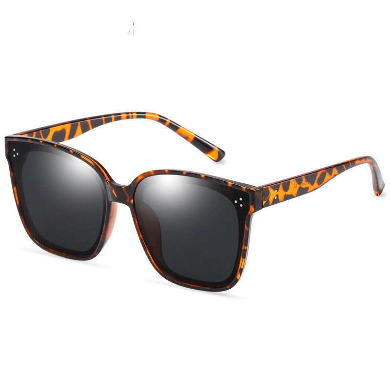 LargeFrame Polarized Sonnenbrille