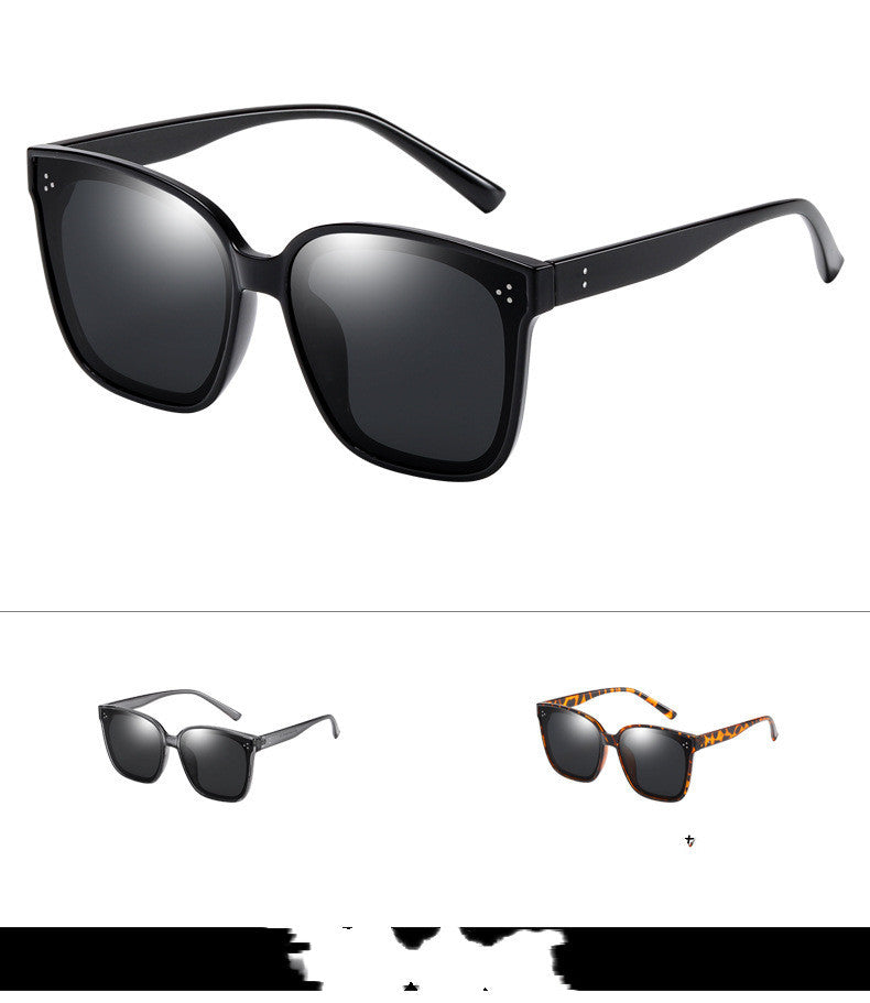 LargeFrame Polarized Sonnenbrille