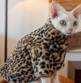 Fluffy Leopard Hairless Cat Clothes Short Plush Cat Fur