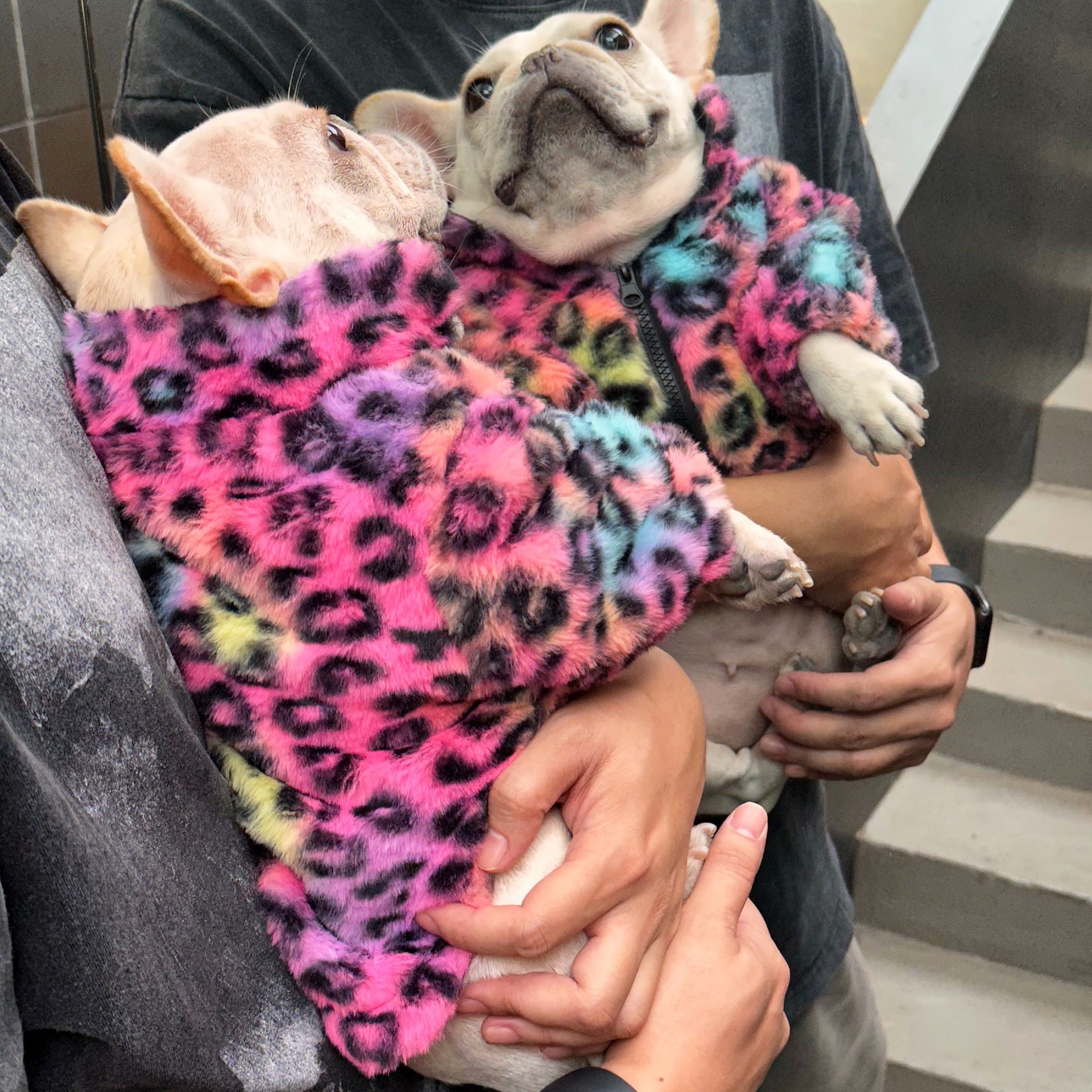 New Style Pet Clothes Colorful Leopard Print Velvet Coat