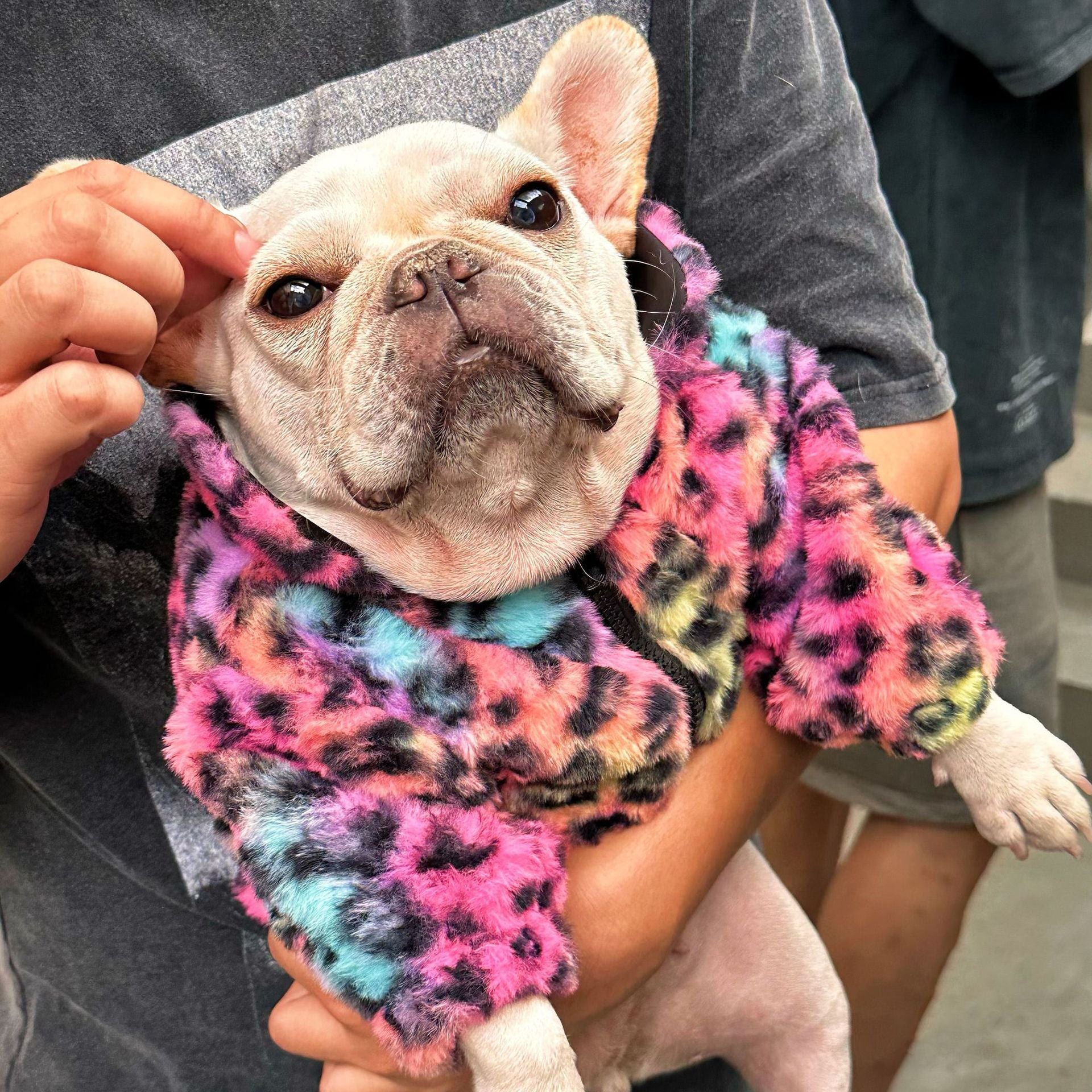 New Style Pet Clothes Colorful Leopard Print Velvet Coat