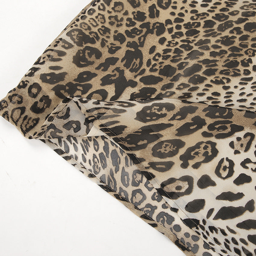 Sleeveless Deep V-neck Chiffon Leopard Print A- Line Dress 2